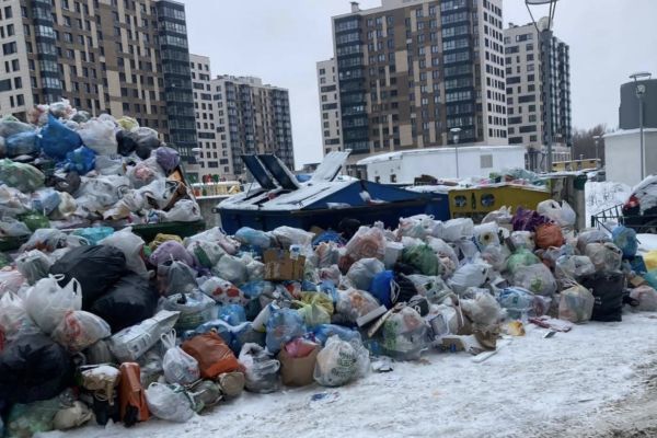 Безумие: Баханович высказалась о мусорной реформе в Петербурге