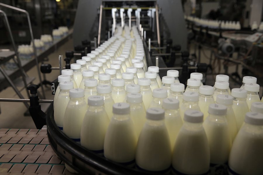 В Московской области выделят более 1 млрд руб на производство молока в 2021 году