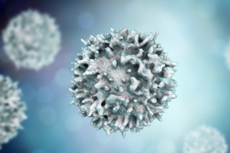Ученые: коронавирус может месяц «жить» на поверхностях в доме