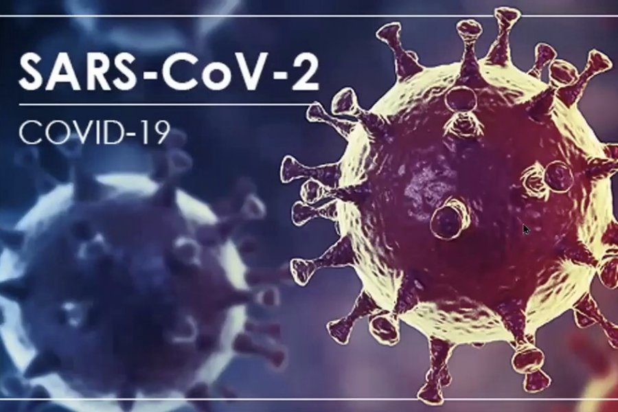 Ученые из Китая обосновали природное происхождение коронавируса