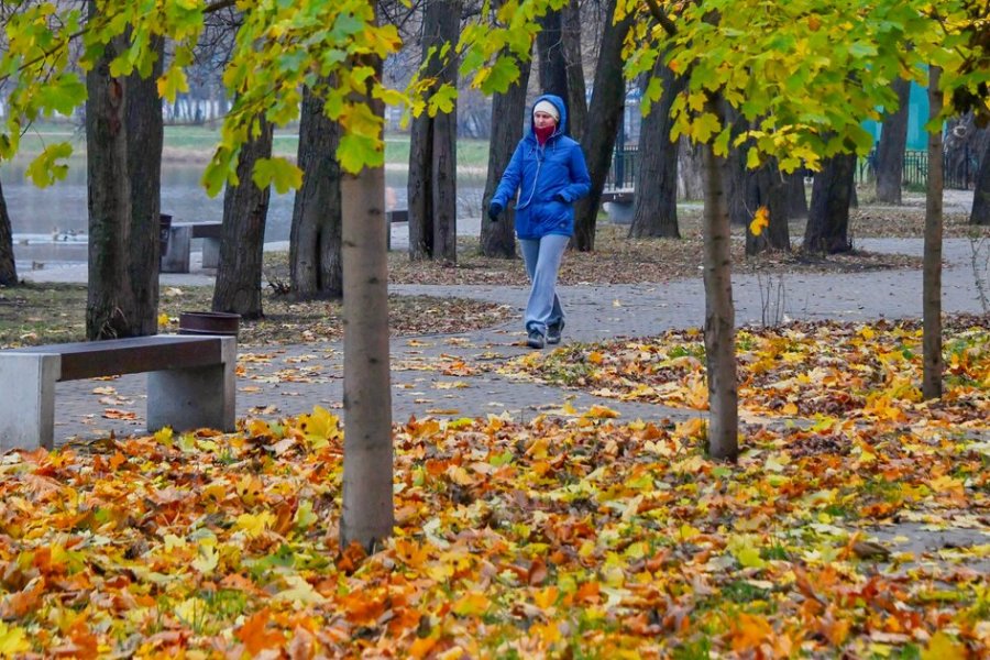 «Фобос»: В Москве наступила метеорологическая осень