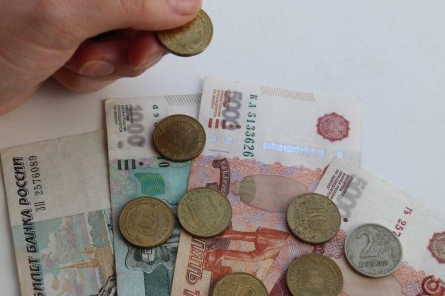 В РФ предложили новую выплату размером 30 тысяч рублей