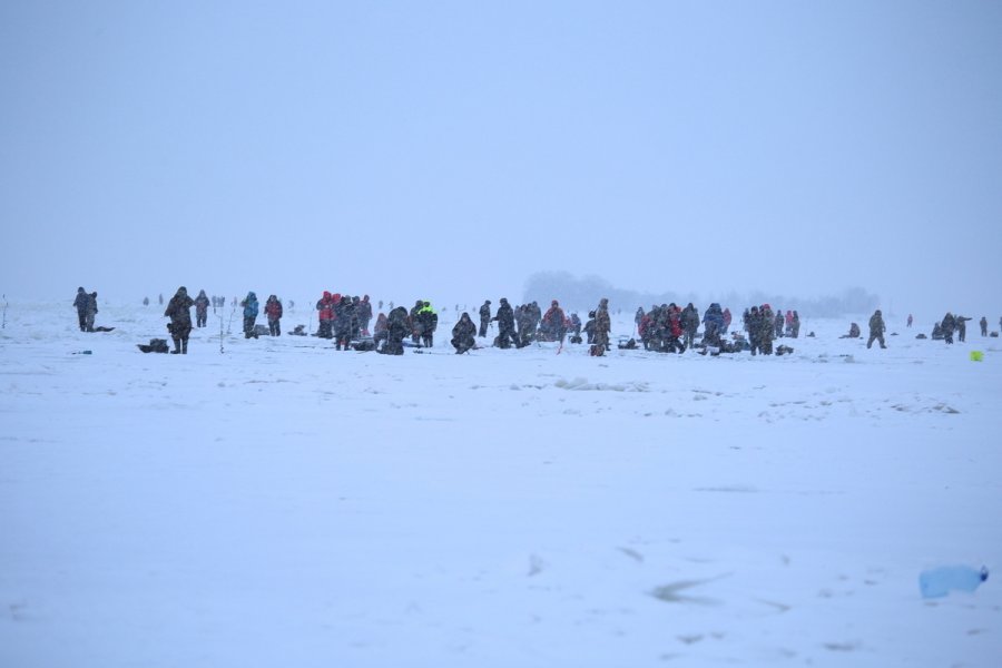 Несмотря на оттепель, рыбаки из Санкт-Петербурга наводнили замерзший Финский залив