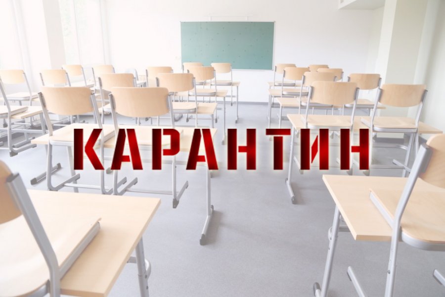 Случаи кишечной инфекции выявили в гимназии на Сахалине